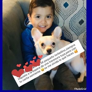 Meet your Posher, Diego